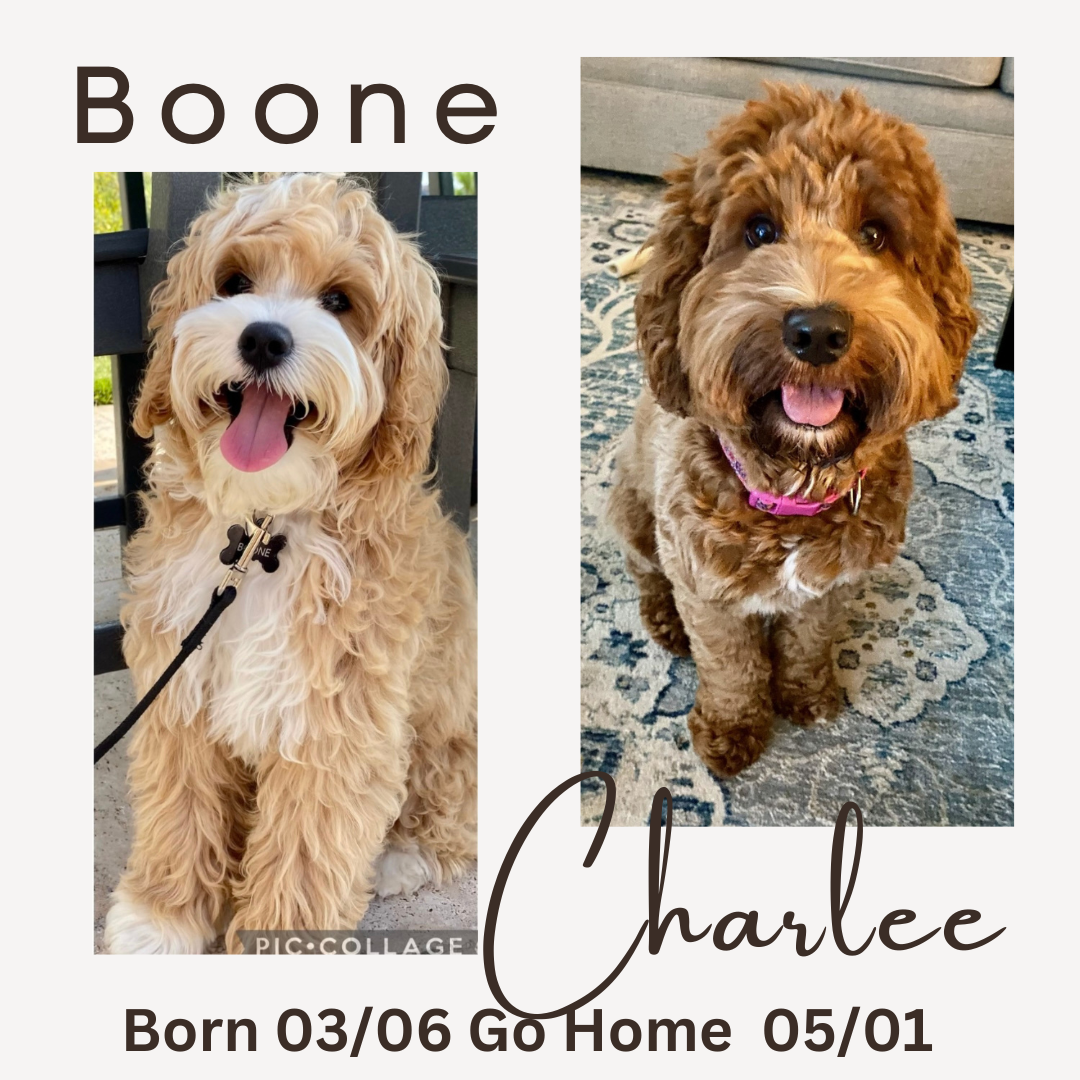 Boone and Charlee