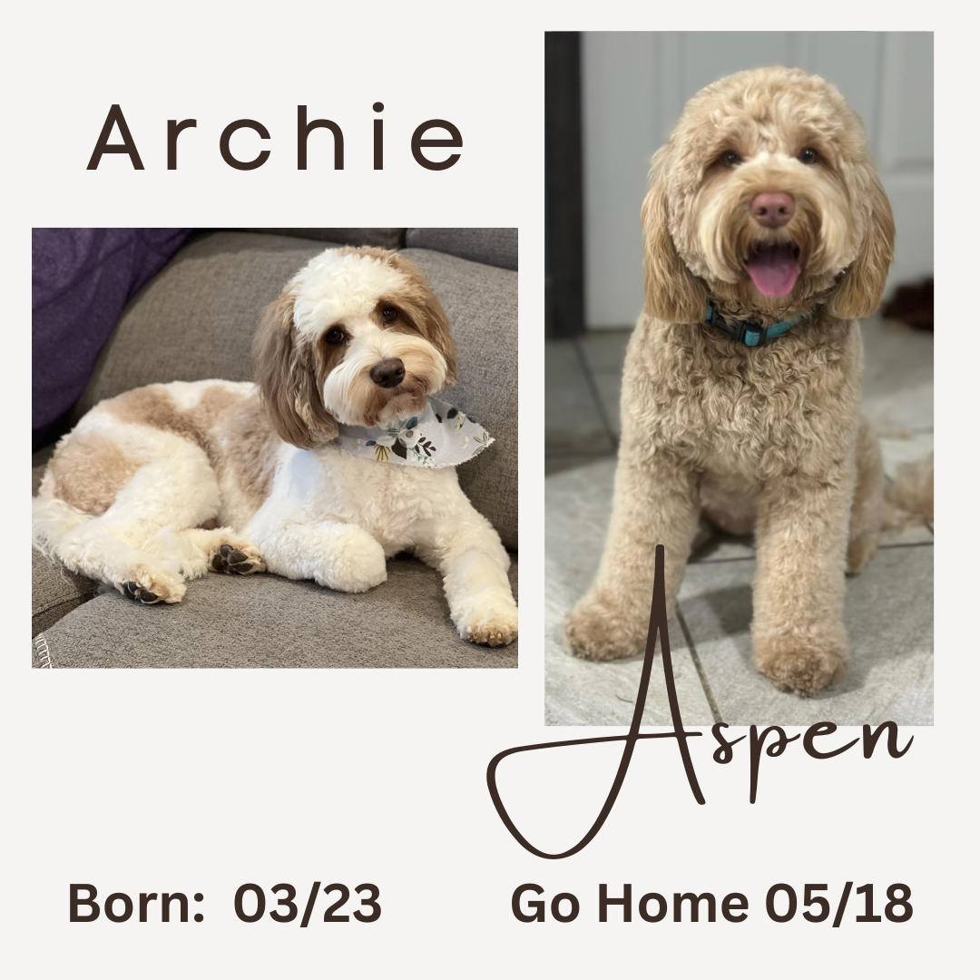 Archie and Aspen