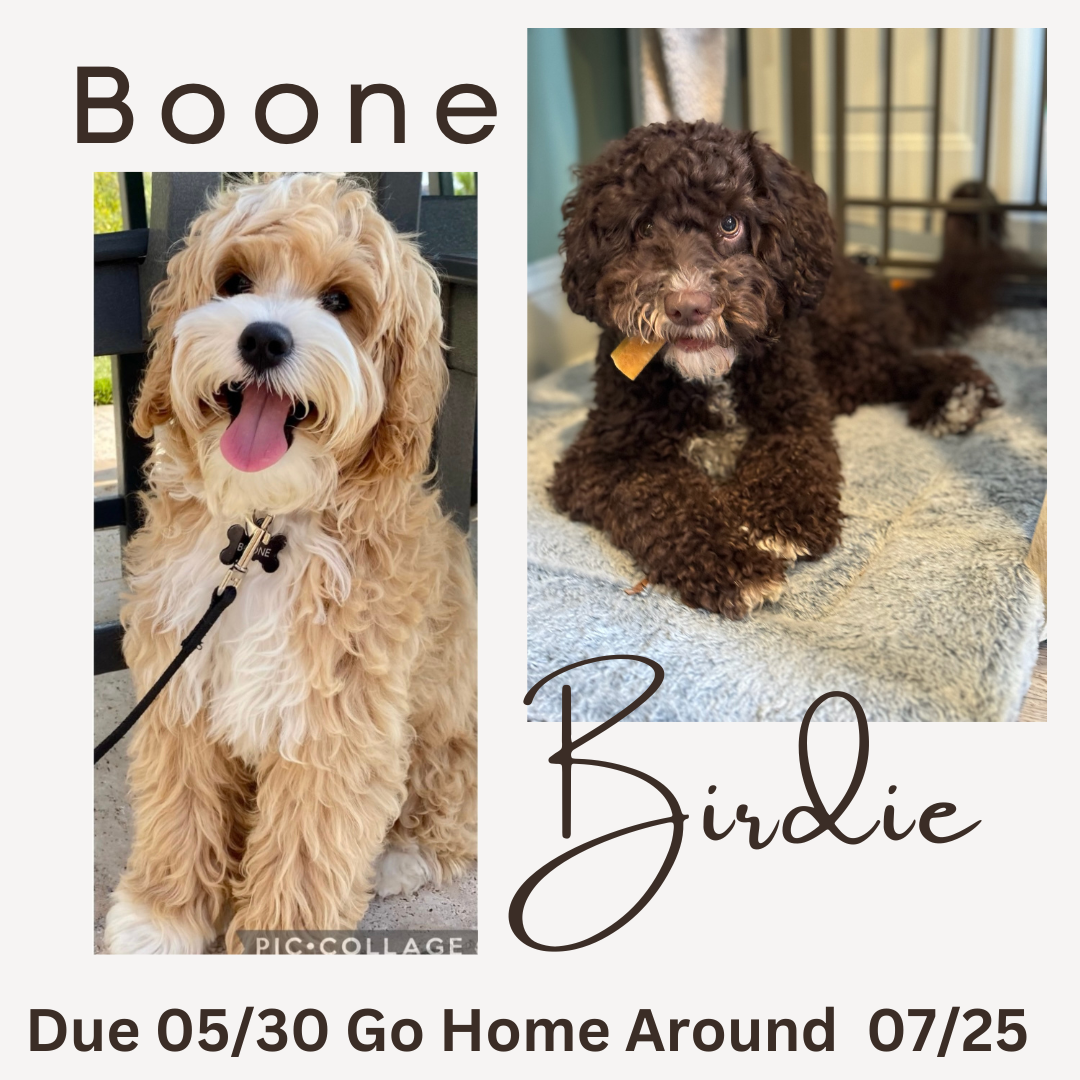 Boone and Birdie