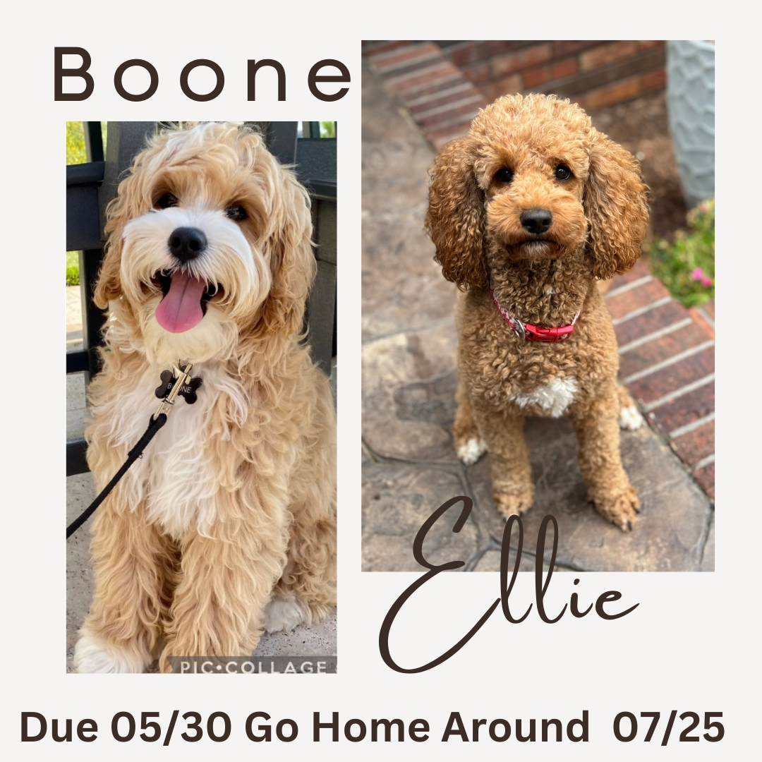 Boone and Ellie