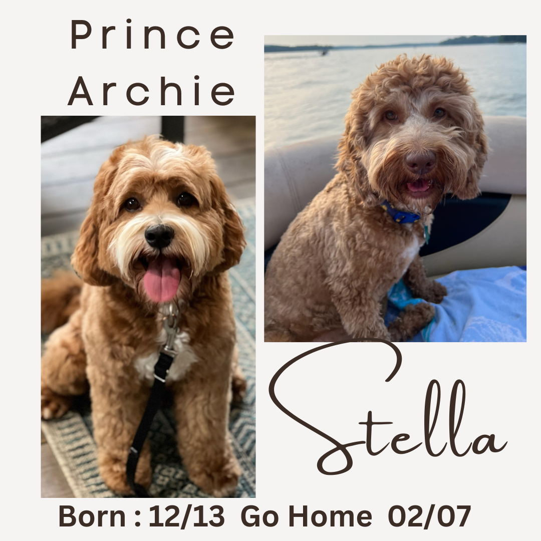 Stella and Archie