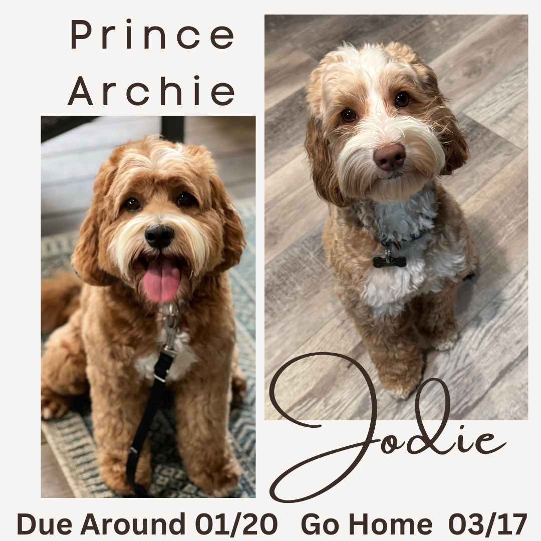 Jodie and Prince Archie