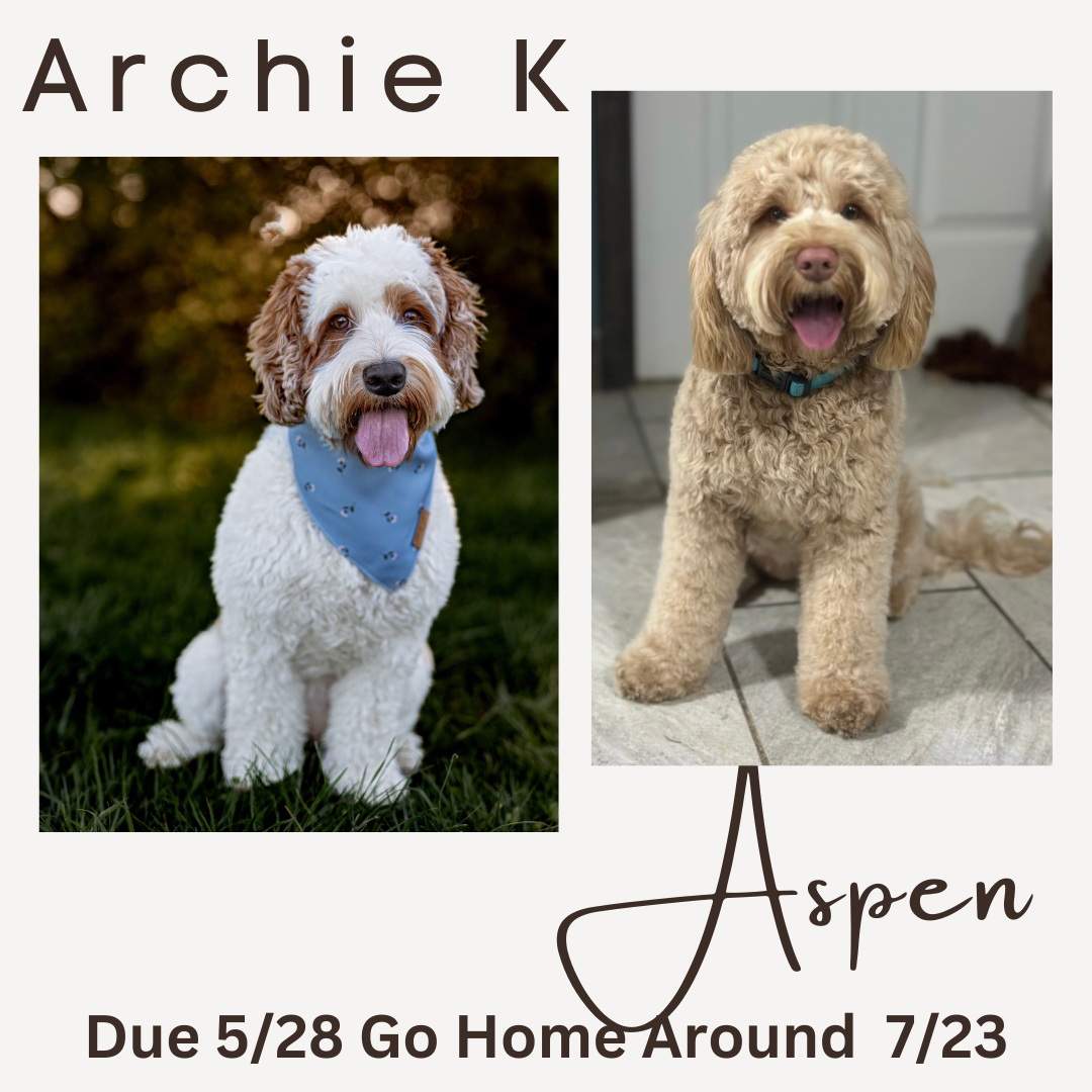 Archie K and Aspen
