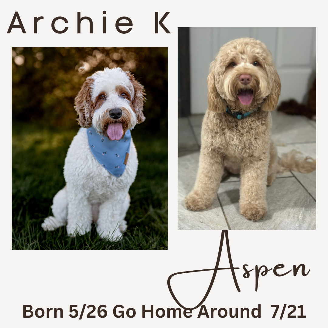 Aspen