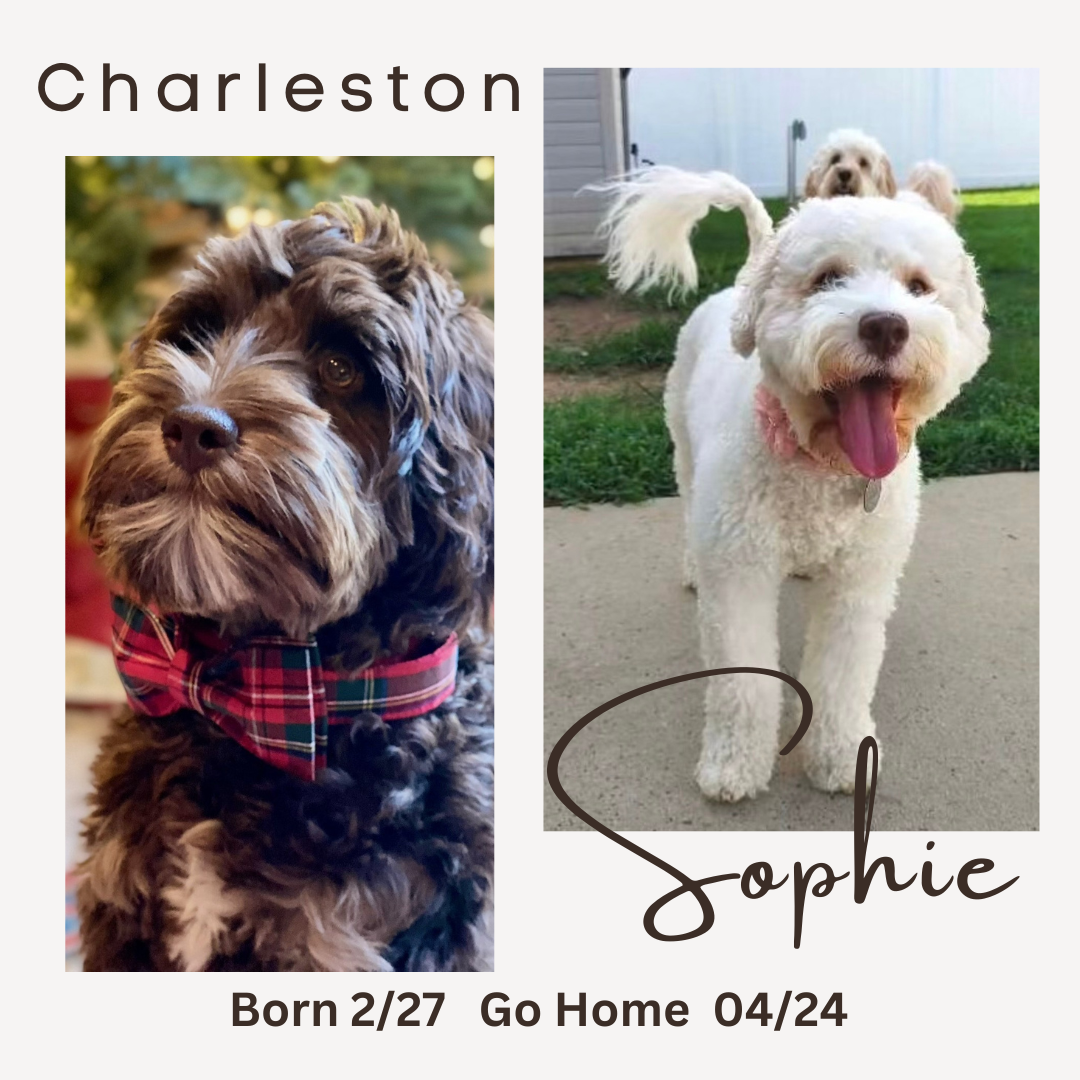 Charleston and Sophie