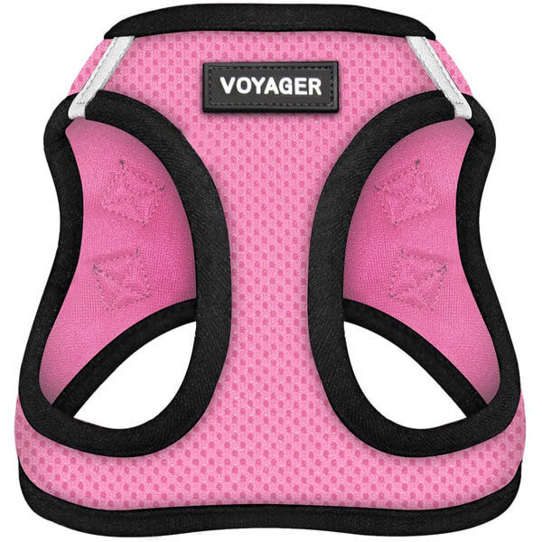 Voyager harness
